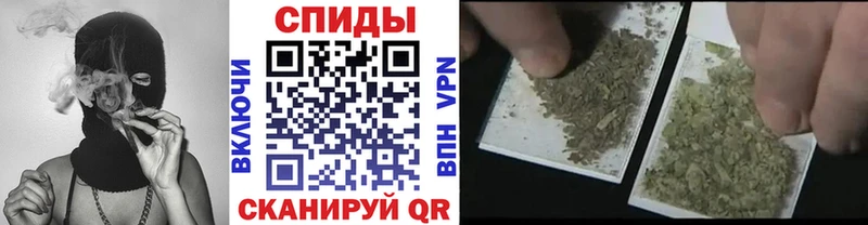 гидра ссылка  закладка  Тында  Бутират 1.4BDO 