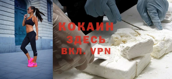 бошки Семилуки