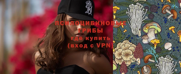 mix Горняк
