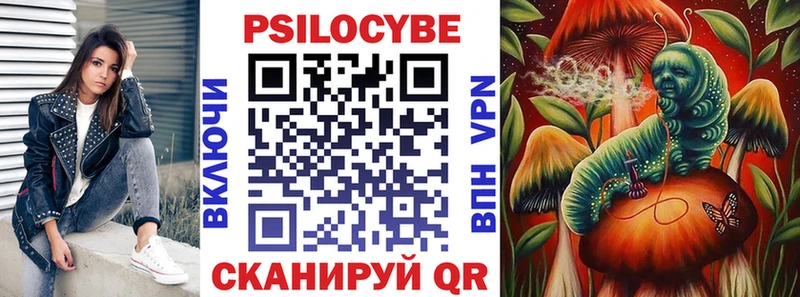 закладка  Тында  Псилоцибиновые грибы мицелий 