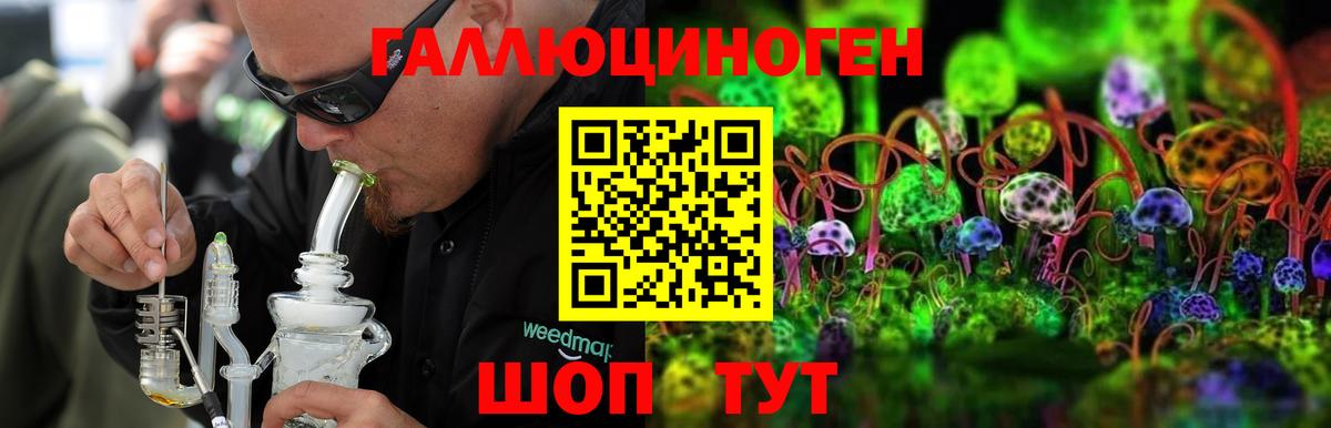 Галлюциногенные грибы Psilocybine cubensis  даркнет сайт  Тында 